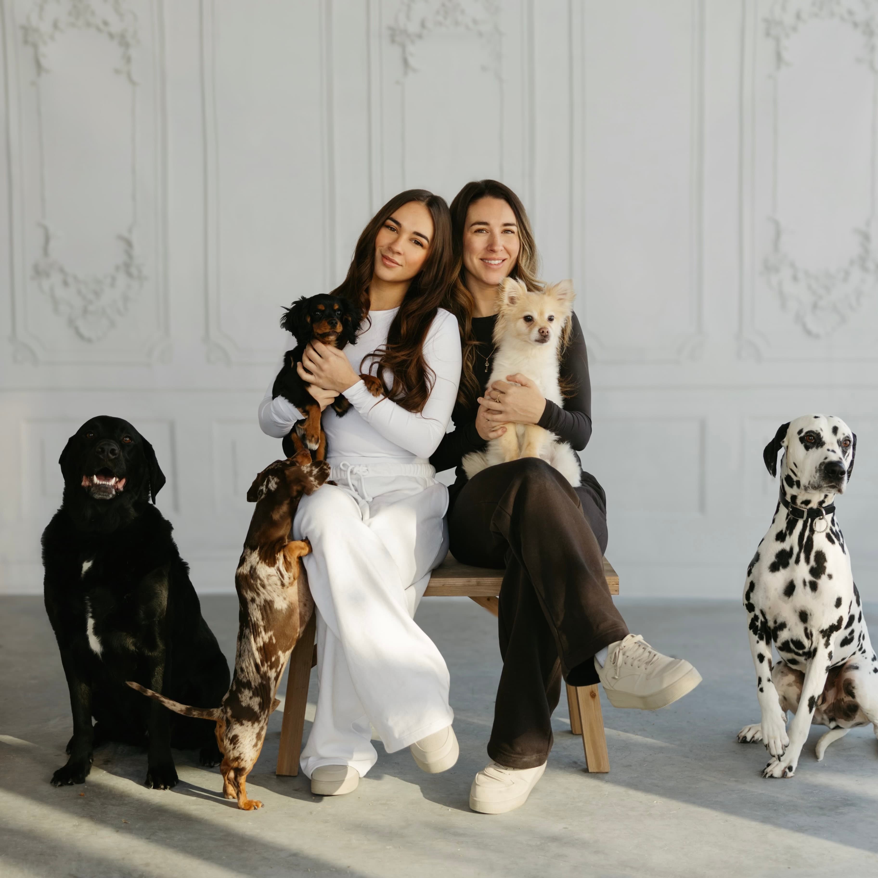 Chien de luxe