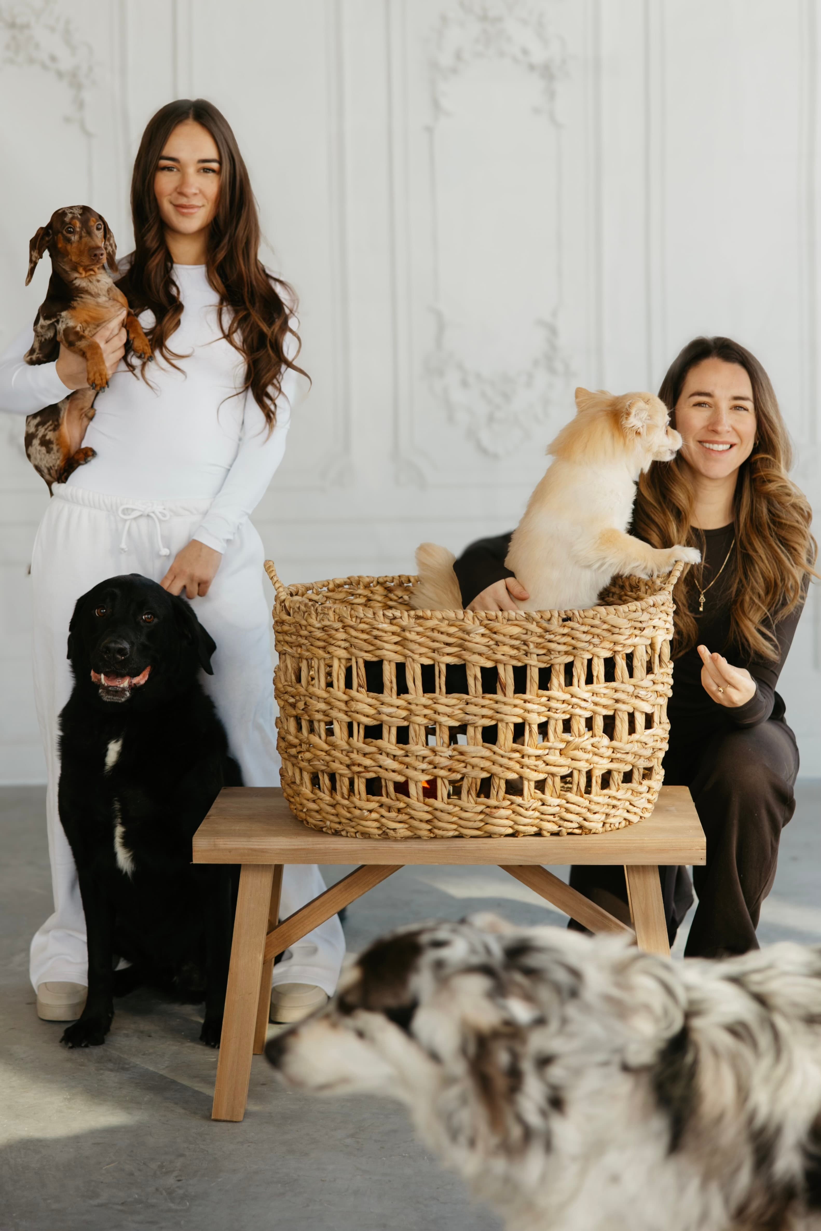 Galerie Pawlace 2
