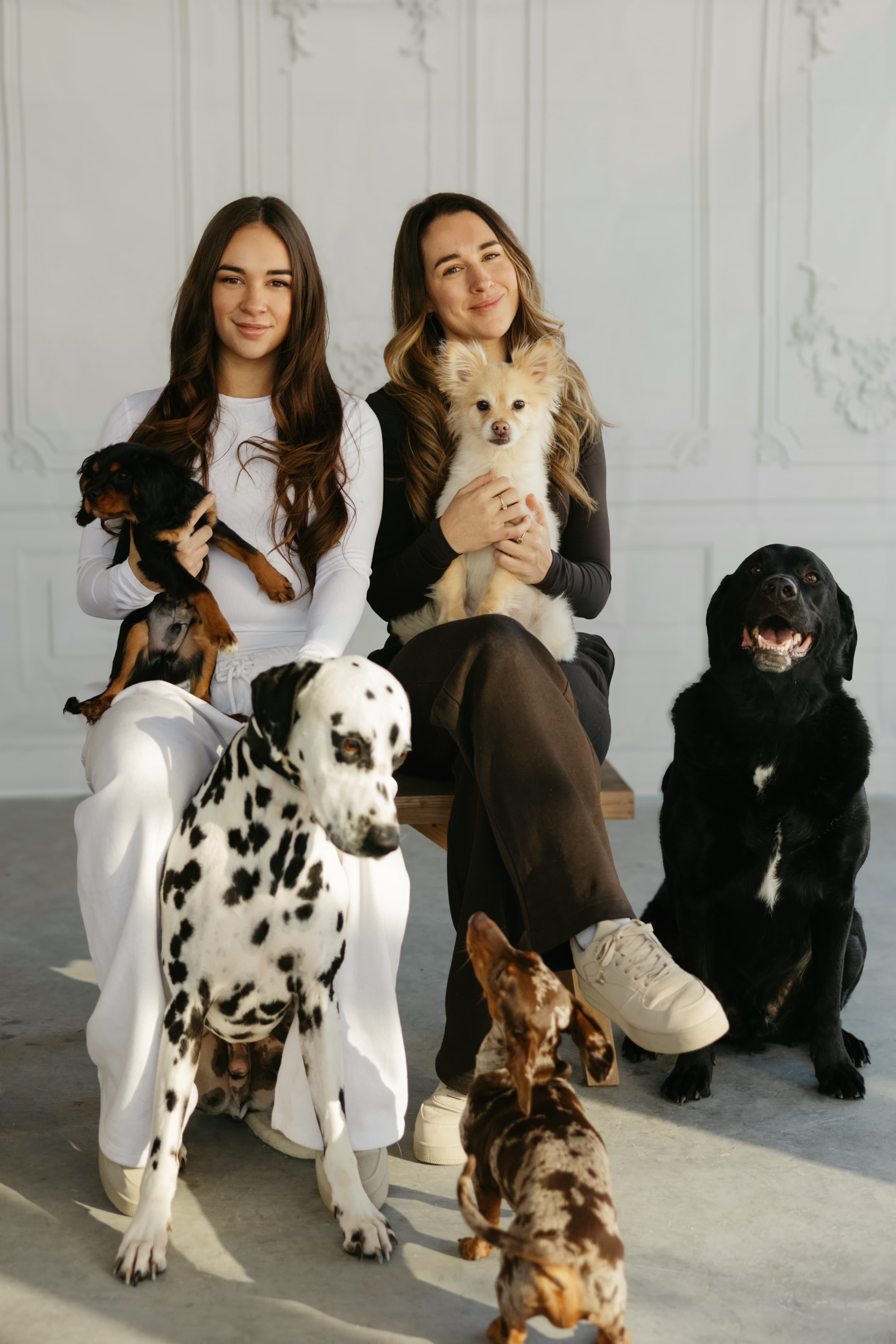 Galerie Pawlace 8